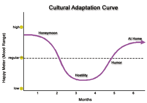 Culture Shock Curve by Cherrye Moore. 
