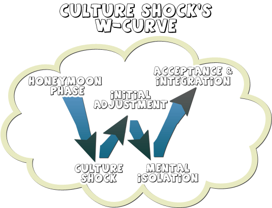 W-shaped Culture Shock curve from englishgenie.com